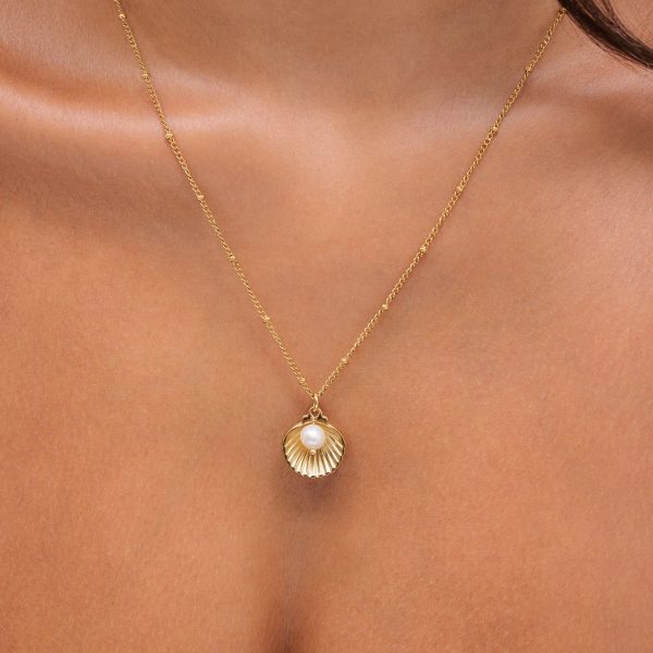Seashell Necklace