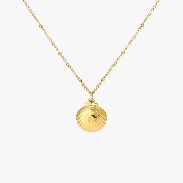 Seashell Necklace