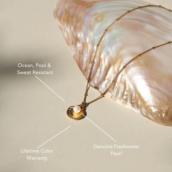 Seashell Necklace